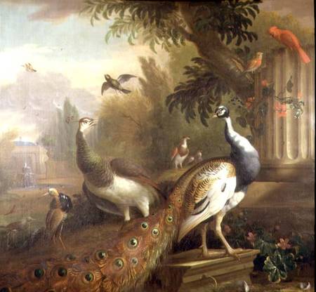 Peacock and Peahen with a Red Cardinal in a Classical Landscape od Tobias Stranover