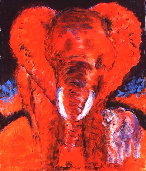 The Last Elephant od  Tom  Cook