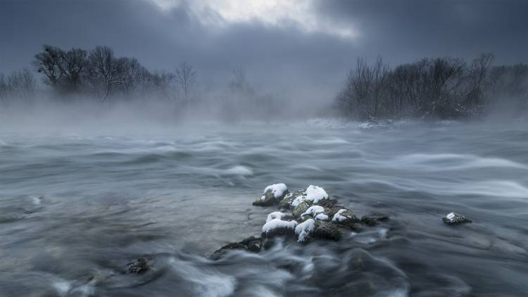Frosty morning at the river od Tom Meier