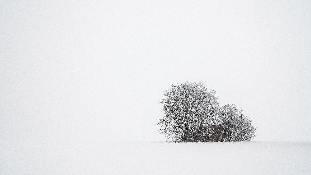 Winter silence od Tom Meier
