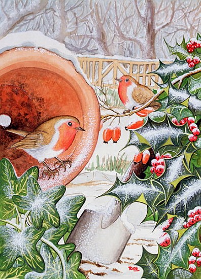 Christmas Robins (w/c)  od Tony  Todd