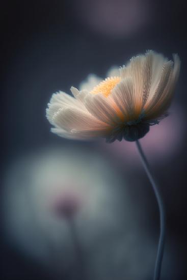Dreamy Flower