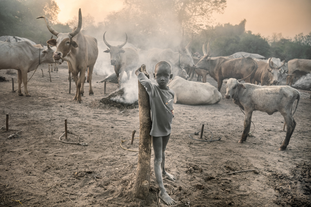 Young Mundari with his cattle od Trevor Cole