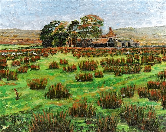 Farm Cumbria od Trevor  Neal