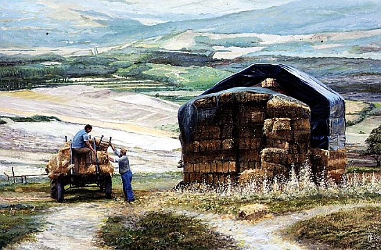Haymaking, Volterra, Tuscany (oil on canvas)  od Trevor  Neal
