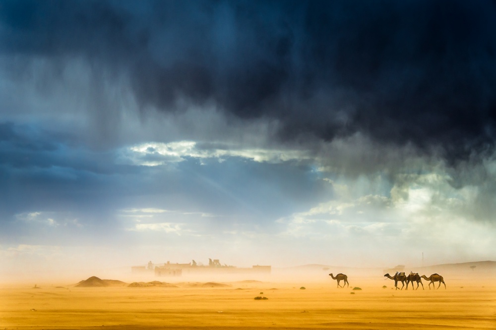 Storm, wind, rain, sand, camels and incredible light in the desert od Tristan Shu