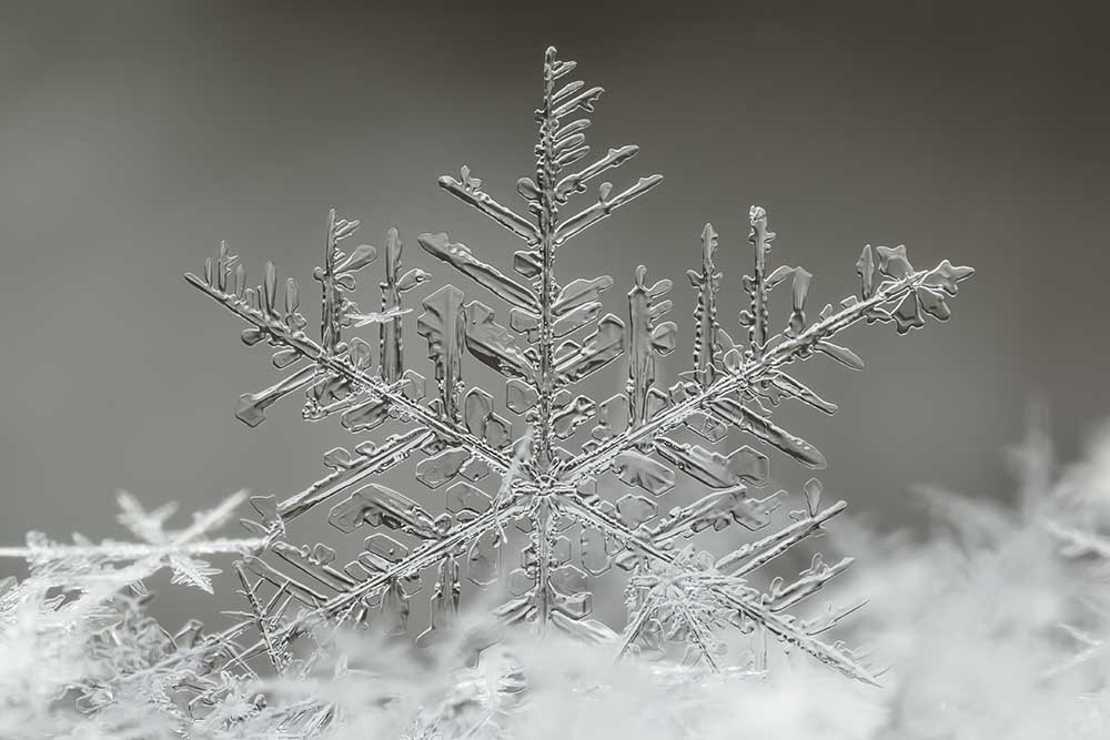 Snowflake od Tsolmon Naidandorj