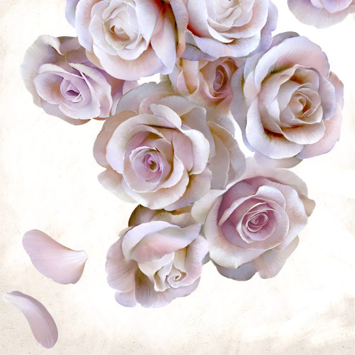 Roses of light od Udo Linke