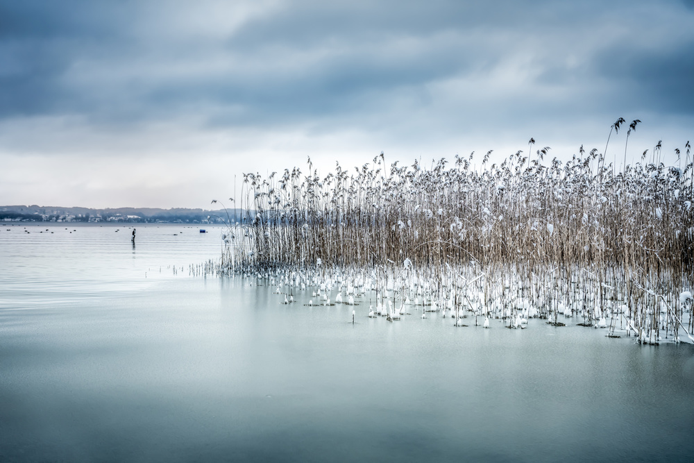 Winter Impression od Ulrike Eisenmann