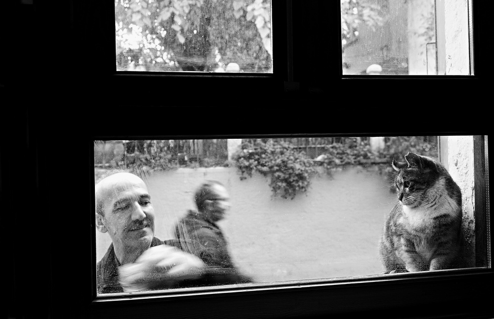 In Front Of The Window od UMUT DOGU SAYLI