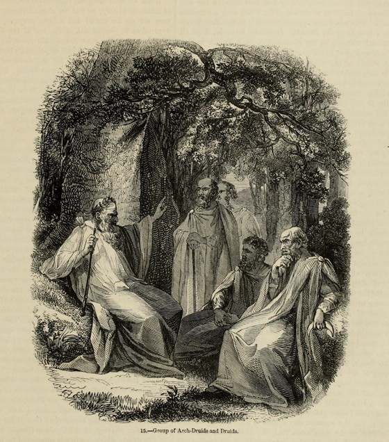 Group of Archdruids and Druids (From the book "Old England: A Pictorial Museum") od Unbekannter Künstler