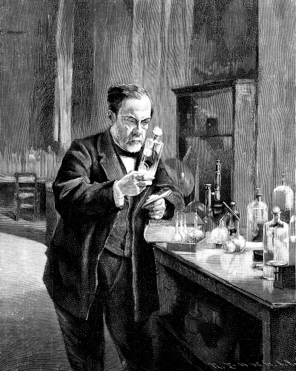 French chemist and microbiologist Louis Pasteur (1822–1895) od Unbekannter Künstler