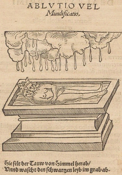 Illustration for The Rosary of the Philosophers (Rosarium philosophorum sive pretiosissimum donum De od Unbekannter Künstler