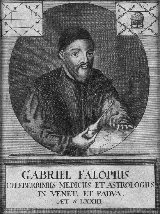 Portrait of Gabriele Falloppio (1523-1562) od Unbekannter Künstler