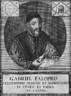 Portrait of Gabriele Falloppio (1523-1562)
