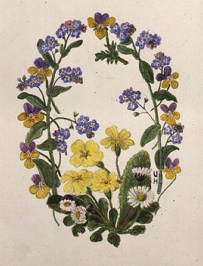 Primroses, Forget-me-nots, Pansies and Daisies (w/c on paper)  od Ursula  Hodgson