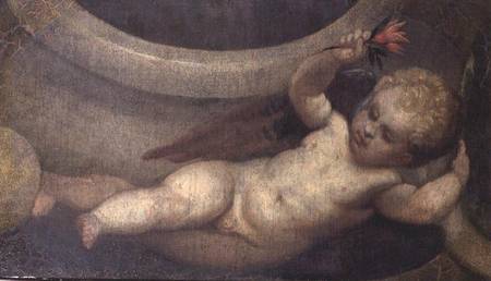 Putto with a red flower od Veronese, Paolo (eigentl. Paolo Caliari)