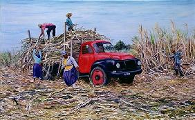 Loading Canes (oil on canvas) 