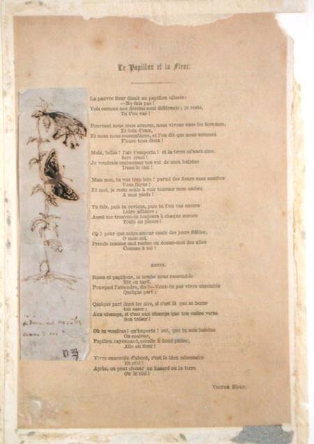 'Le Papillon et la Fleur', poem with an illustration of butterlies from 'Les Chants du Crepuscule' od Victor Hugo