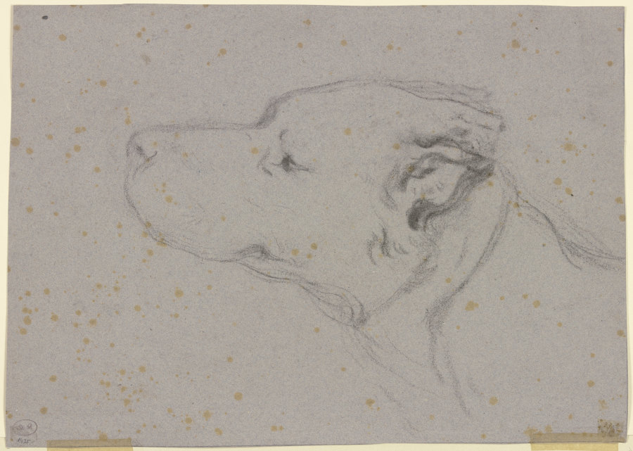 Kopf eines Hundes nach links od Victor Müller