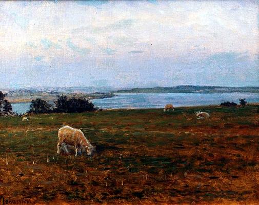Sheep Grazing, Osterby, Skagen (oil on canvas) od Viggo Johansen