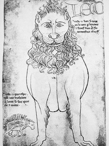 Ms Fr 19093 fol.24v Lion and Porcupine (pen & ink on paper) (facsimile) od Villard  de Honnecourt