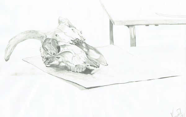 Skull od Vincent Alexander Booth
