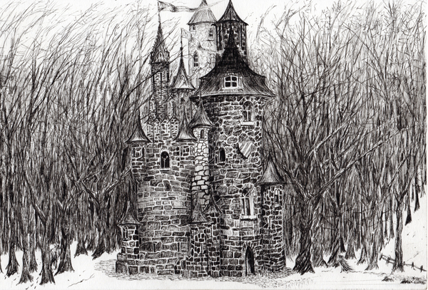 The Castle in the forest of Findhorn od Vincent Alexander Booth