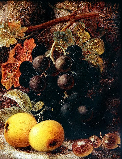 Grapes, Apples and Gooseberries od Vincent Clare