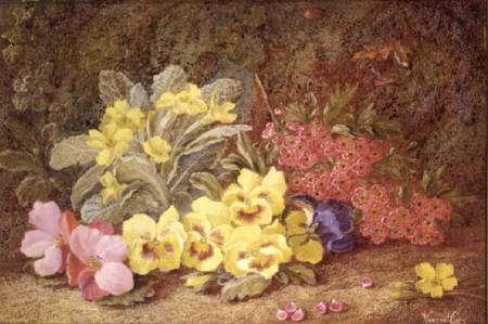Roses and Primroses od Vincent Clare