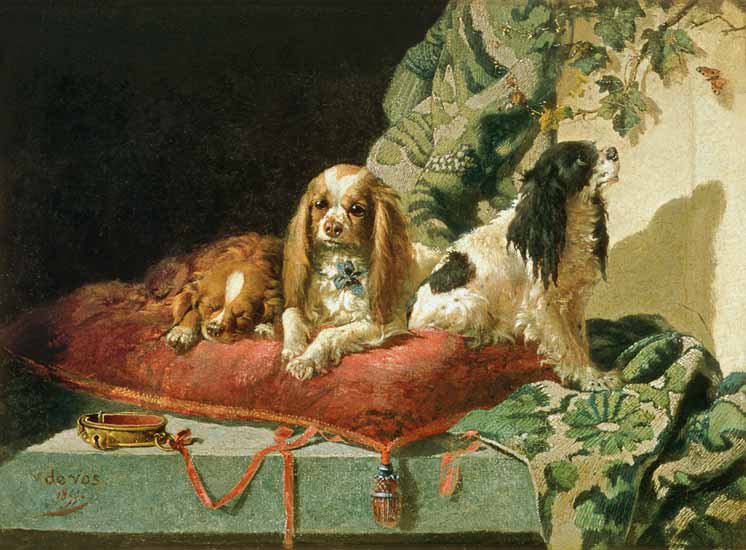 King Charles Spaniels od Vincent de Vos