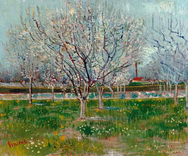 Blossoming orchard od Vincent van Gogh