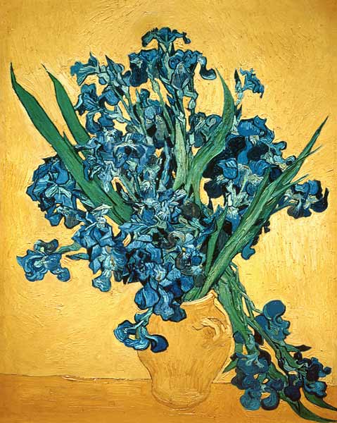 Irises od Vincent van Gogh