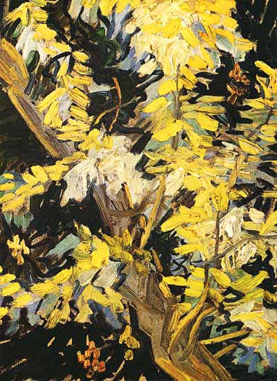 Blossoming Akazienzweig od Vincent van Gogh