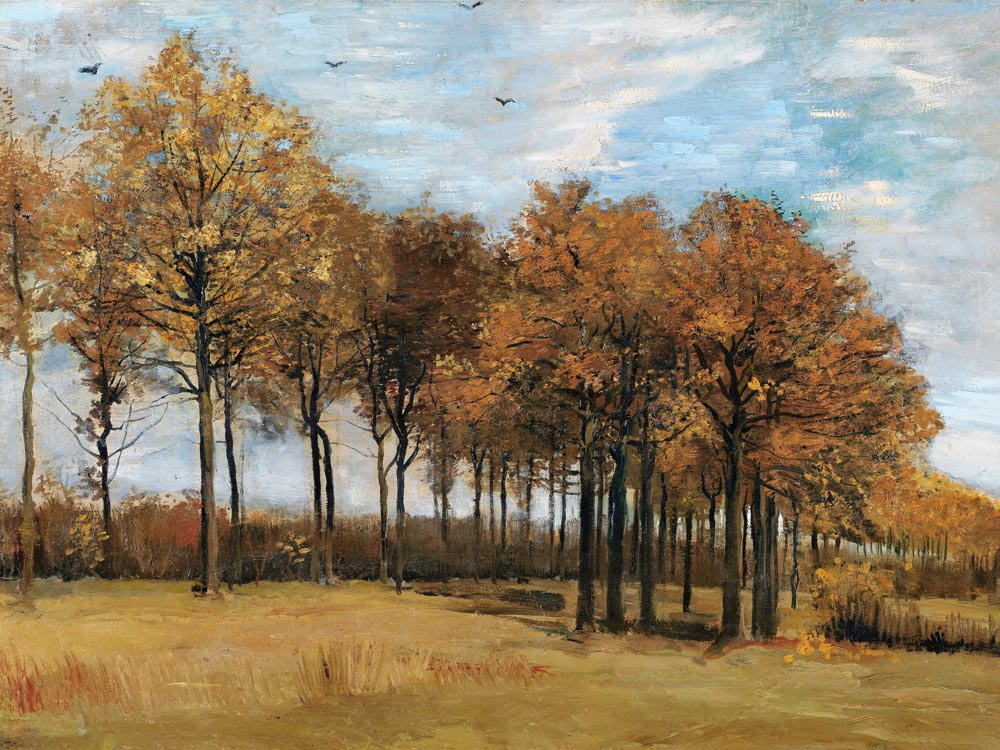 v.Gogh / Autumn landscape / Nov. 1885 od Vincent van Gogh