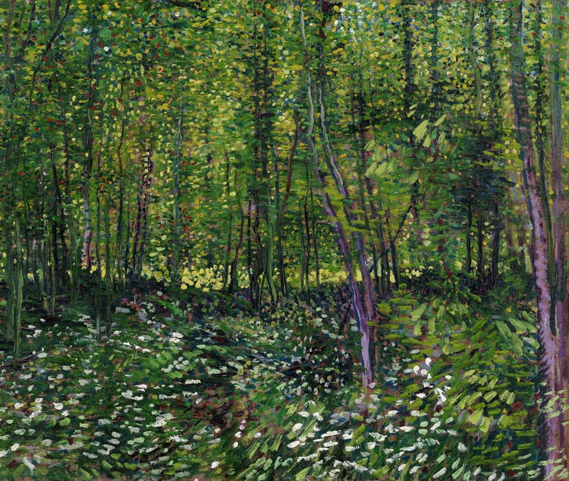 Trees and underwood od Vincent van Gogh