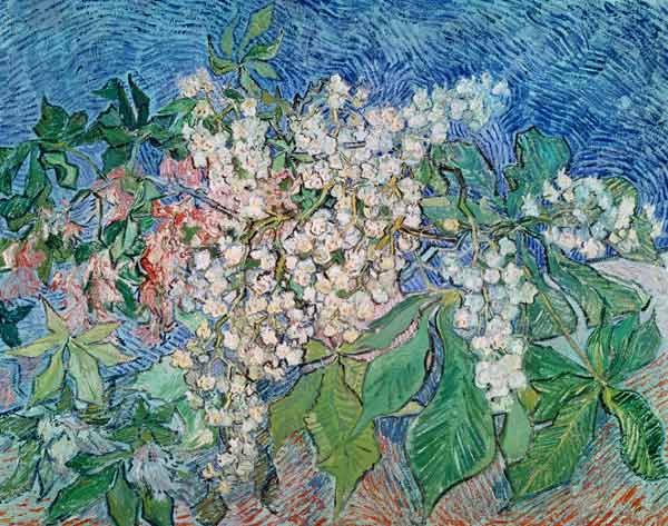 van Gogh / Blossoming Chestnut Branches od Vincent van Gogh