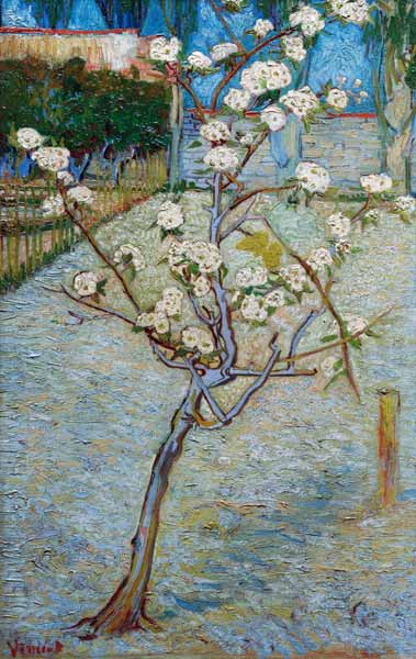van Gogh/Blossoming pear tree/April 1888 od Vincent van Gogh