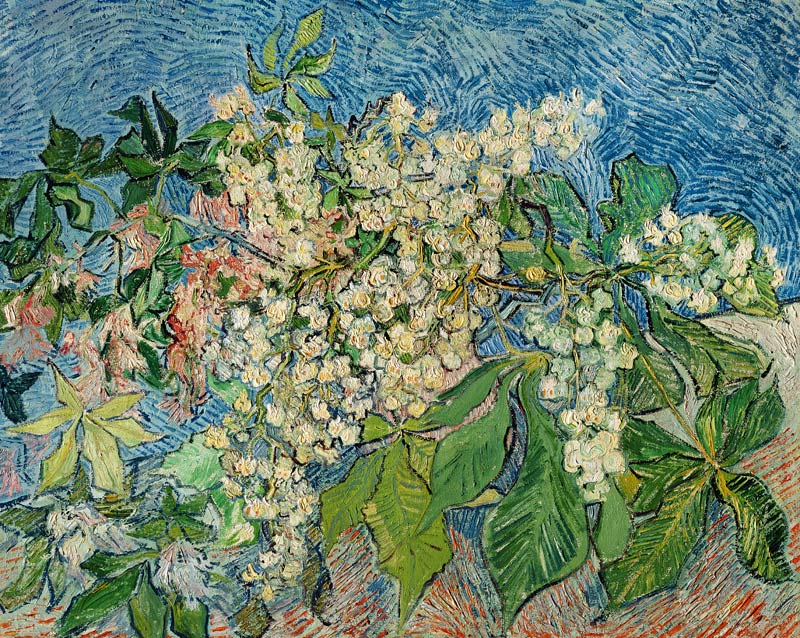 Blossoming Chestnut Branches od Vincent van Gogh