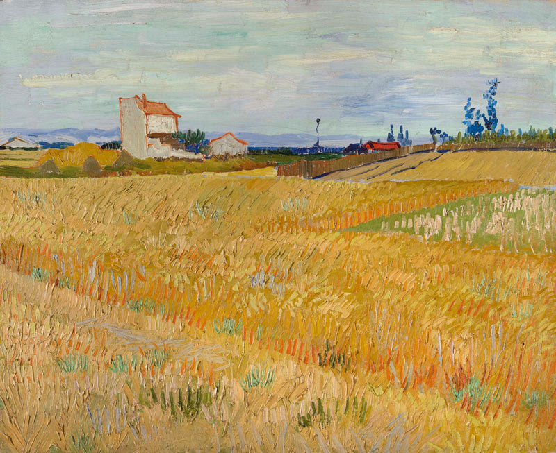 Van Gogh / Cornfield / c.1888 od Vincent van Gogh