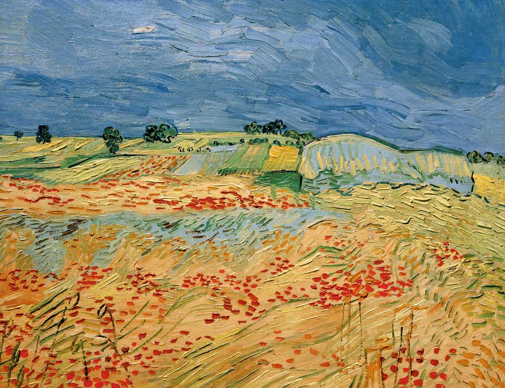 Van Gogh / Fields with Blooming Poppies od Vincent van Gogh