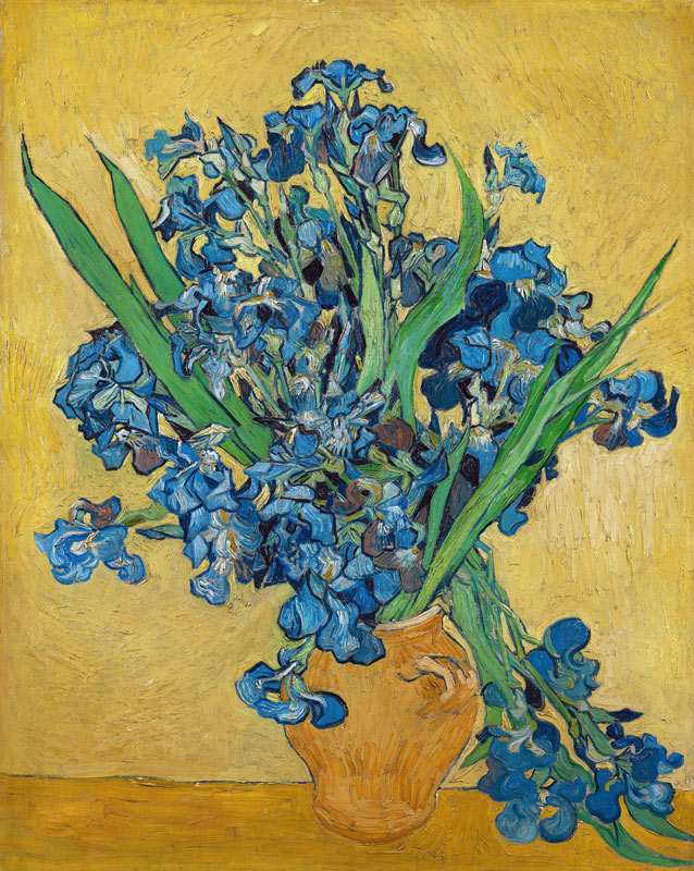 Irises od Vincent van Gogh