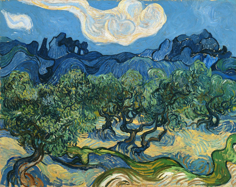 Landscape with olive trees od Vincent van Gogh