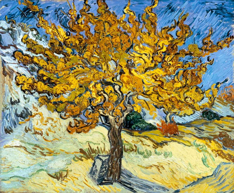 Mulberry Tree od Vincent van Gogh