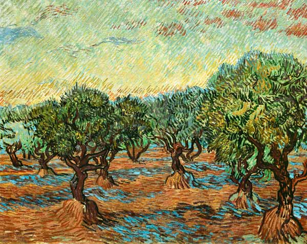 Olive grove od Vincent van Gogh