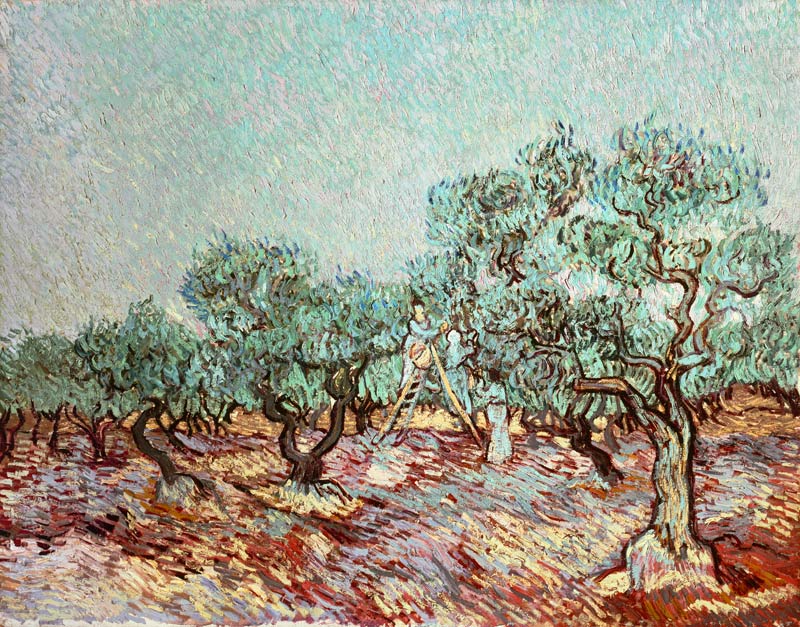 Van Gogh / The Olive Gatherers od Vincent van Gogh