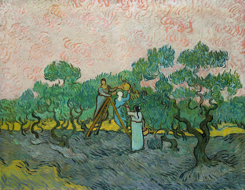 The Olive Pickers, Saint-Remy od Vincent van Gogh