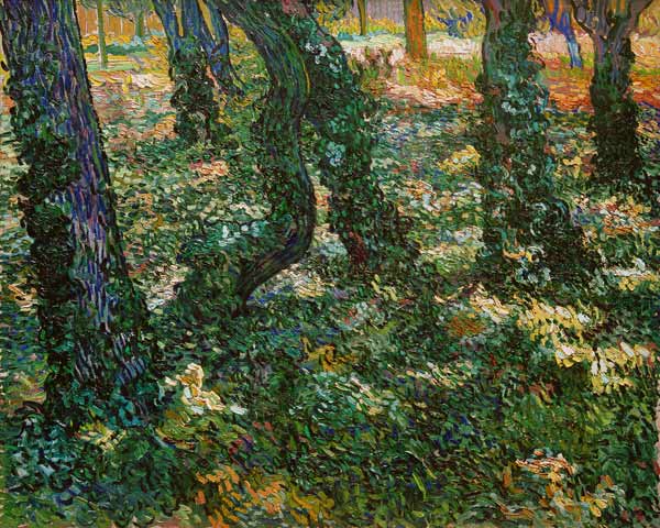 Undergrowth od Vincent van Gogh
