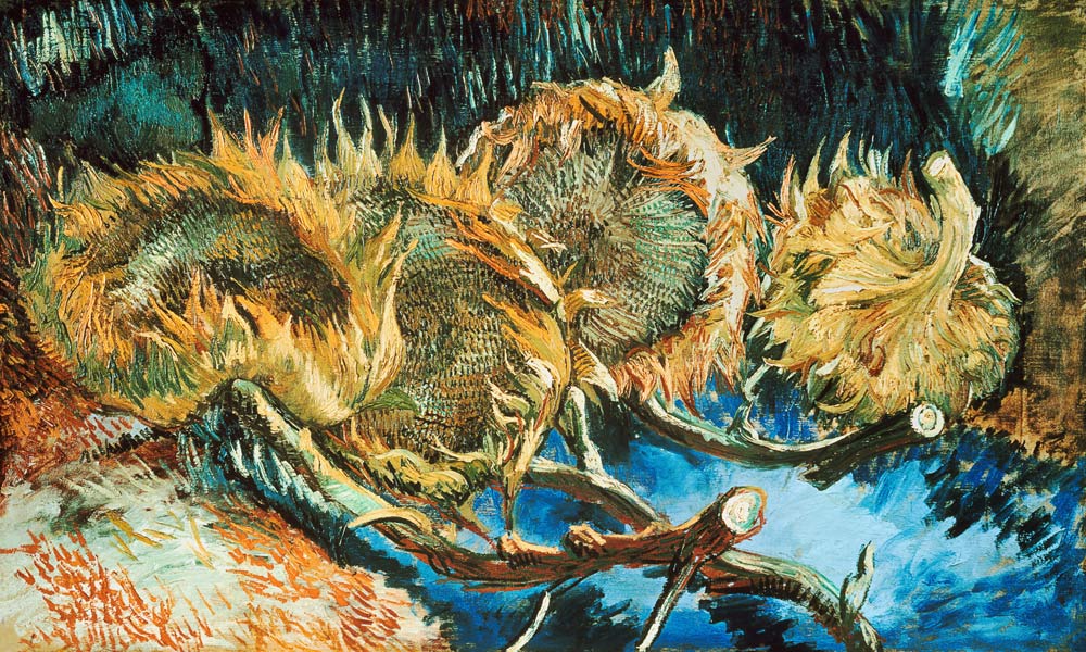 Four Withered Sunflowers od Vincent van Gogh