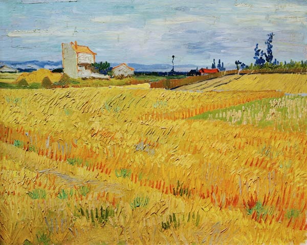 V.v.Gogh, Wheat Field / Paint./ 1888 od Vincent van Gogh